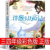 洋葱头历险记三年级四年级正版书羊葱头历险记三四年级小学生课外阅读必读书籍儿童读物7-8-10-12岁故事书非注音版