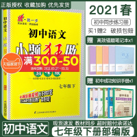 2021春部编版初中语文巅峰版七年级下册人教初一7下RJ初中苏教版教材全解同步复习练习课时作业本教辅书试卷资料恩波教育