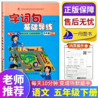世纪恒通 字词句基础导练五年级下册人教部编版 黑龙江美术出版社小学语文5年级下册字词句听写练习默写能手专项训练本