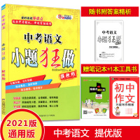 2021版恩波教育 中考语文小题狂做提优版 初三9九年级中考总复习语文专题突破滚动强化提优训练含答案解析小题狂做中考语文