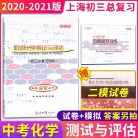 2020-2021学年度 初中化学测试与评估 中考化学仿真模拟训练 不含答案 初三九年级总复习训练 上海版教材配套教辅
