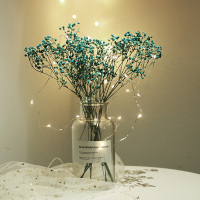 大圣摄影北欧ins风干花瓶套装拍照道具背景布少女心装饰摆件饰品 蓝色满天星+大号瓶+LED灯