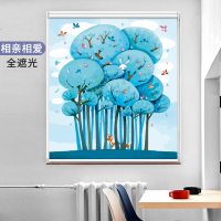 卷帘窗帘免打孔安装卫生间厕所家用厨房升降卷拉式全遮光遮阳防水 相亲相爱 全遮光