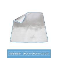 户外便携春游垫子加厚防潮垫野餐垫野炊地垫草坪露营野餐布 2m*2m