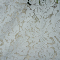 新蕾丝布料服装面料车骨镂空服装布料蕾丝面料连衣裙布料蕾丝料 白色 1.5米*0.5米
