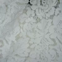 新蕾丝布料服装面料车骨镂空服装布料蕾丝面料连衣裙布料蕾丝料 白色 1.5米*0.5米