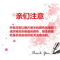 纯棉印花布料 和风烫金日系粗纺平纹 手工DIY布艺服装面料棉布料 白色