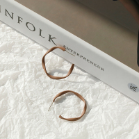 s925银针哑光彩色耳圈女复古港风扭曲圆圈耳环几何简约耳钉耳饰 棕色圆圈耳钉