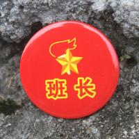 儿童徽章胸针 奖励胸牌别针 小学生幼儿园胸章三好学生4.4cm10个 班长胸针10个
