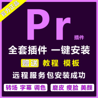 pr插件2020软件字幕转场调色美颜瘦脸磨皮锐化效果素材模板全套t