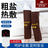 电加热盐袋粗盐热敷包保暖艾灸膝盖关节理疗袋家用海盐 升级加长一对+数显九档调温海盐款+14个艾草包+礼品盒