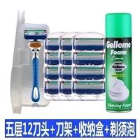 德国通用锋速5刀头手动剃须刀片刮胡刀头男五层胡须刀胡子刀 五层1刀架12刀头1泡沫