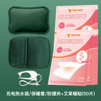 热水袋充电式防爆暖宝宝暖肚子可爱毛绒女电热宝暖水袋暖手宝 翡翠绿[防爆热水袋+保暖套+艾草暖贴50片]保暖套餐
