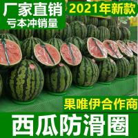 水果固定器放西瓜圈神器 西瓜防滑垫塑料圈 摆放展示底座投掷套圈 大号 适用12-30斤[50个装