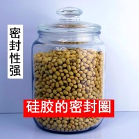 玻璃密封罐加厚带盖杂粮陈皮茶叶食品储物罐防潮中药材蜂蜜存储瓶 5L(水容量10斤)(硅胶密封圈)