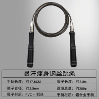 钢丝跳绳健身减肥运动专业训练燃脂成人竞速专用学生比赛中考绳子 暴汗瘦身跳绳黑色
