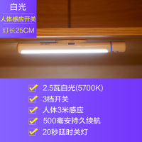 欧普感应酷毙灯大学生宿舍灯管led台灯护眼学习寝室USB充电免安装 25CM单档白光+人体感应\光感应\可常亮[无线充电