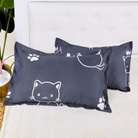 枕头单人大学生宿舍简约男女可爱家用双人一对装护颈椎枕芯带枕套 黑色 黑猫咪2枕芯2枕套