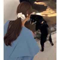 彩色肥肠猪大肠发圈简约发带女网红扎头发橡皮筋头花饰品韩国发饰 A款-奶白