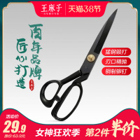 剪刀家用碳钢剪子小剪刀手工业剪纸剪线头厨房树枝裁缝剪刀 黑刃专业裁缝剪刀9寸(浸塑工艺,手感舒适)