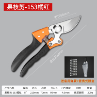 修剪树枝剪刀园林园艺工具多功能家用粗枝果树省力植物修花枝剪 [专业]153省力橘红+腰盒+备用弹簧