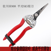 不锈钢稀果剪黑枸杞子疏花剪葡萄采摘剪刀加长枝剪花椒进口合金剪 908平刃