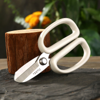 修花园艺花艺剪鲜花插花家用剪花草花枝花店专用工具 精品园艺剪刀[米白色]