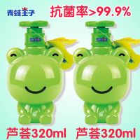 儿童洗手液便携泡沫温和小孩洗护用品宝宝洗手液 芦荟味320mlx2瓶