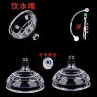 7CM奶嘴通用可么多么宽口径硅胶奶瓶奶嘴新生儿断奶宝宝奶嘴超软 2只装有卡槽+饮水嘴+吸管送吸管刷 2滴奶嘴(3-6月)