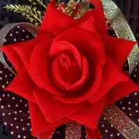 结婚仿真胸花婚礼新郎新娘玫瑰胸针伴郎伴娘父亲母亲胸花婚庆用品 父亲母亲(一对)点纱