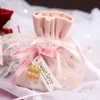 婚礼绒布喜糖袋结婚喜糖盒创意丝绒伴手礼袋ins风纱裙糖果手提袋 梦幻粉袋+星星纱+喜字+卡片 5个装