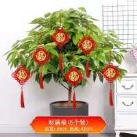 毛毡布福字挂件新年春节装扮乔迁新居客厅室内玄关小门贴喜庆布置 小号财满福[6个装]