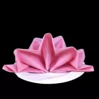 新品西餐厅折花擦酒杯净口布全纯棉餐巾席巾缎框吸水不掉毛叠花布 粉红色缎框 56*56cm