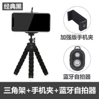 八爪鱼手机三脚架迷你自拍支架三角抖音多功能摄相机拍照神器直播 经典黑[配加固横竖夹]+遥控器 八爪鱼自拍支架