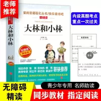 大林和小林 宝葫芦的秘密 稻草人 爱的教育 三四五年级课外书 [2本]大林和小林+宝葫芦