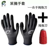 摘辣椒摘花椒防刺防划伤透气灵活手套护指甲神器剥豆子摘豆角神器 灰色S码右手款+拇指刀M码