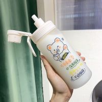 水杯女带吸管式玻璃杯便携可爱简约清新森系牛奶ins风少女心杯子 可可爱爱500ML 杯子+挂件+斜挎绳+杯袋+杯刷