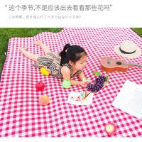 野餐垫ins风防潮垫野餐布户外春游便携防水草郊游加厚野炊地垫子 网红格子9MM厚[颜值推荐] 200*200[可围坐6-