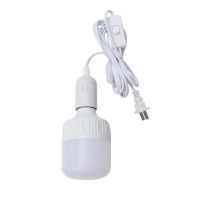 超亮LED节能灯E27螺口插电家用带线插头灯卧室灯照明带开关小夜灯 5米灯头线+65W超亮