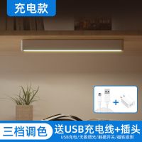 LED酷毙灯充电大学生宿舍寝室床头USB长条灯管磁铁吸附式台灯 [明舍充插两用]+USB数据线+插头
