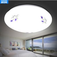 LED吸顶灯圆形卧室灯简约现代客厅灯饰家用过道走廊阳台厨房灯具 百合款 40CM-48W无极调光+遥控器