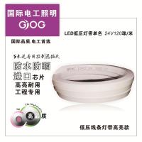 灯带LED家用客厅灯变色室内外防水防晒背景墙灯带条高亮 24V12*12线条灯120珠白光 5米送专用控制器插头