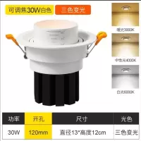 变焦射灯led天花灯嵌入式cob筒灯调焦牛眼灯聚光客厅过道走廊家用 30W变光开孔120cm质保5年