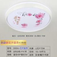 卧室房间吸顶灯中国风led遥控超亮客厅餐厅灯书房过道圆形阳台灯 新花开富贵-49CM 无极遥控遥控三色光