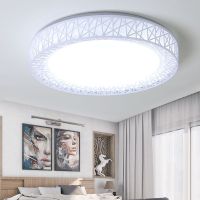 圆形led吸顶灯卧室灯简约现代客厅灯过道阳台灯超亮厨卫生间灯具 鸟巢 60厘米-无极调光96瓦带遥控