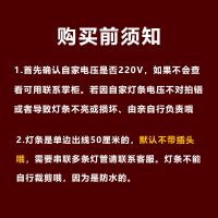 防水冰柜LED灯220v冷柜灯条点菜冰柜展柜专用灯管麻辣烫柜风幕柜 不清楚自家灯条伏数(v)请联系客服 220v超亮单支