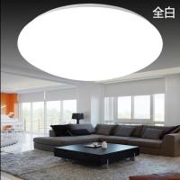 LED大拉伸吸顶灯灯罩底盘外壳卧室走廊阳台厨卫DIY灯壳套件无光源 全白灯罩50厘米+底盘45厘米