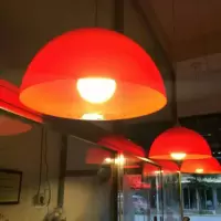 板栗卤菜店肉食熟食店红色灯罩猪肉水果灯罩超市灯生鲜塑料红灯罩 大号整套+24W驱动球泡