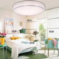 吸顶灯灯罩 圆形灯罩外壳全白底盘灯头阳台卫生厨房灯具配件 银线灯罩50厘米+底盘45厘米