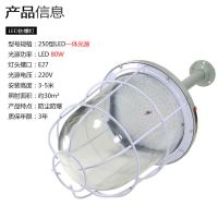 防爆灯led80w瓦加油站仓库厂房车间隔爆型照明灯防水防尘防潮灯罩 250[一体LED光源]80W